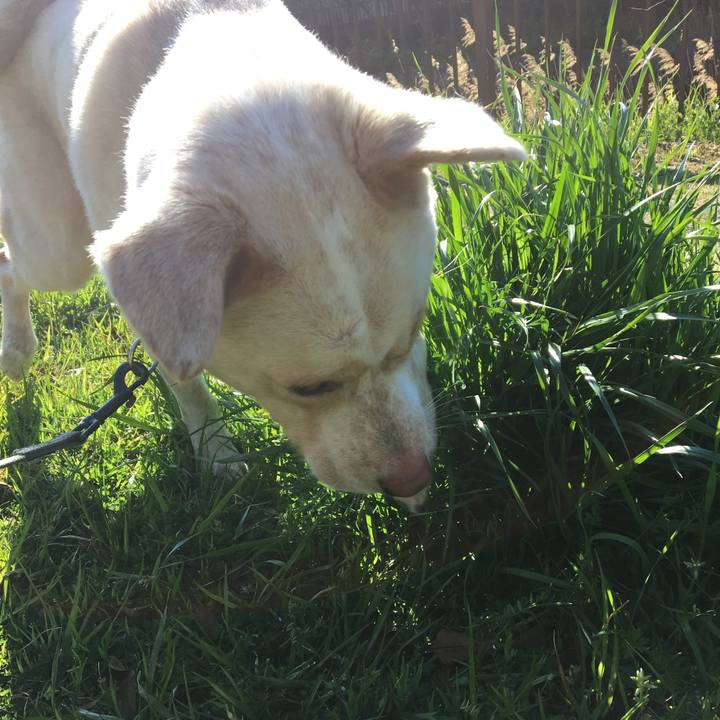 3948cf9d 260b 4bb0 b2b8 d1f20a9faaa6