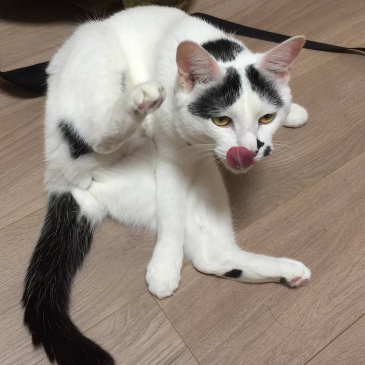 394927aa 3085 4f17 9bb1 8fc5d29301f6