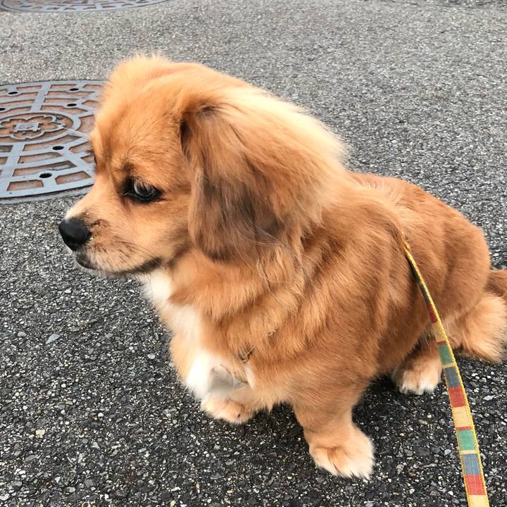 394acd07 dc3f 42ee 8562 8d850218f248