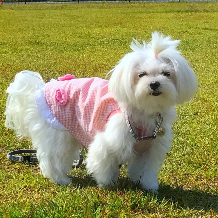 394ae52e de05 46d7 baae 1edd773386b6