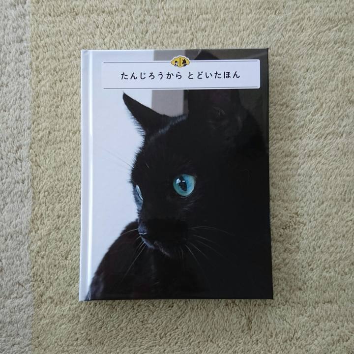 394afc1c 89c0 43c5 ab66 57cf879bf1b4