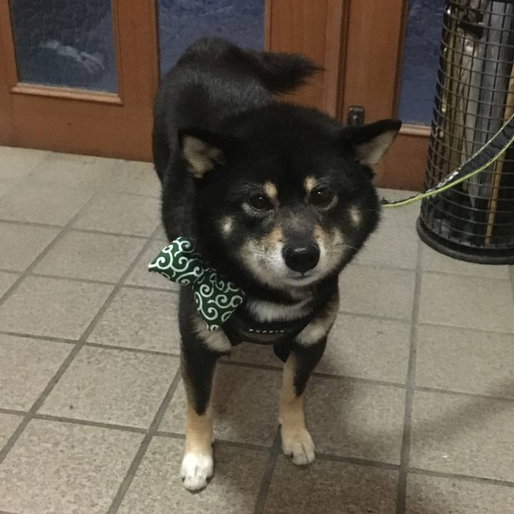 394b7159 1e90 47c1 9083 4caf5ba72936