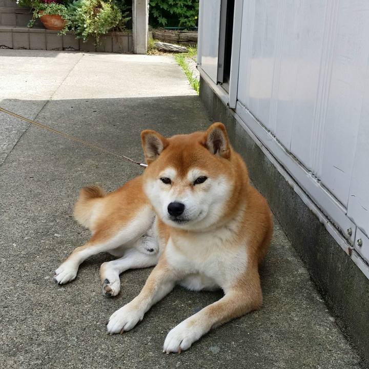 394bd267 69d3 4e2d afa8 d789fa106bb9