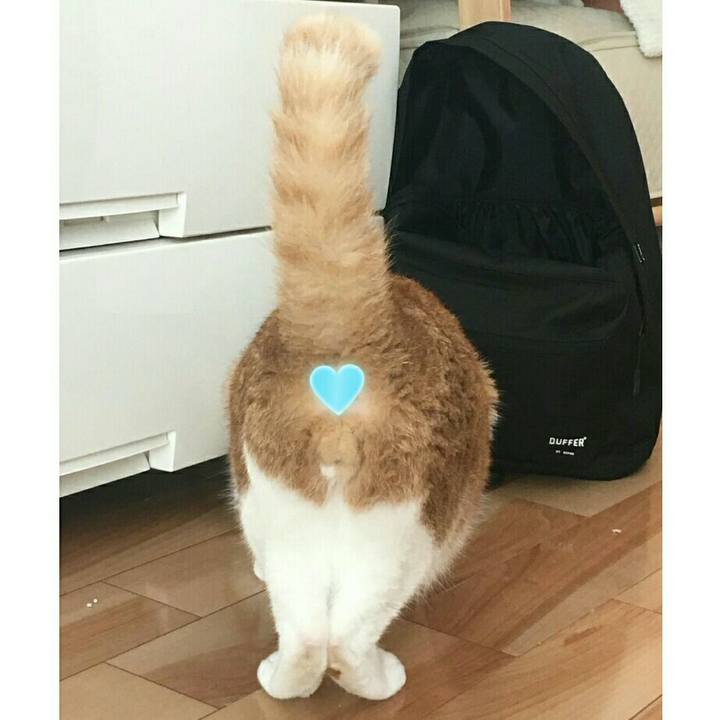 394bedd8 bd96 4817 9311 93cf7e4cedc3