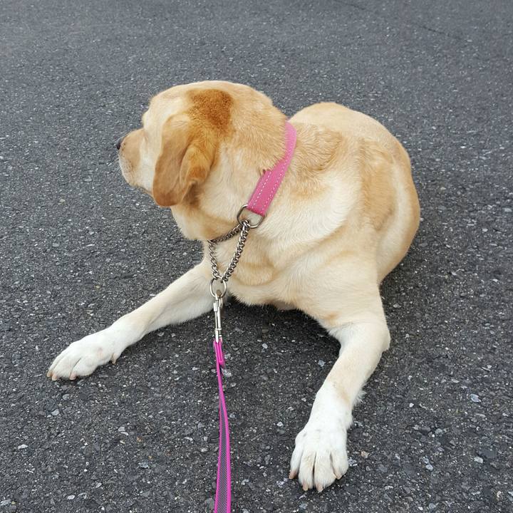 394c1493 8cce 4e4d ab6f 550a961c3210