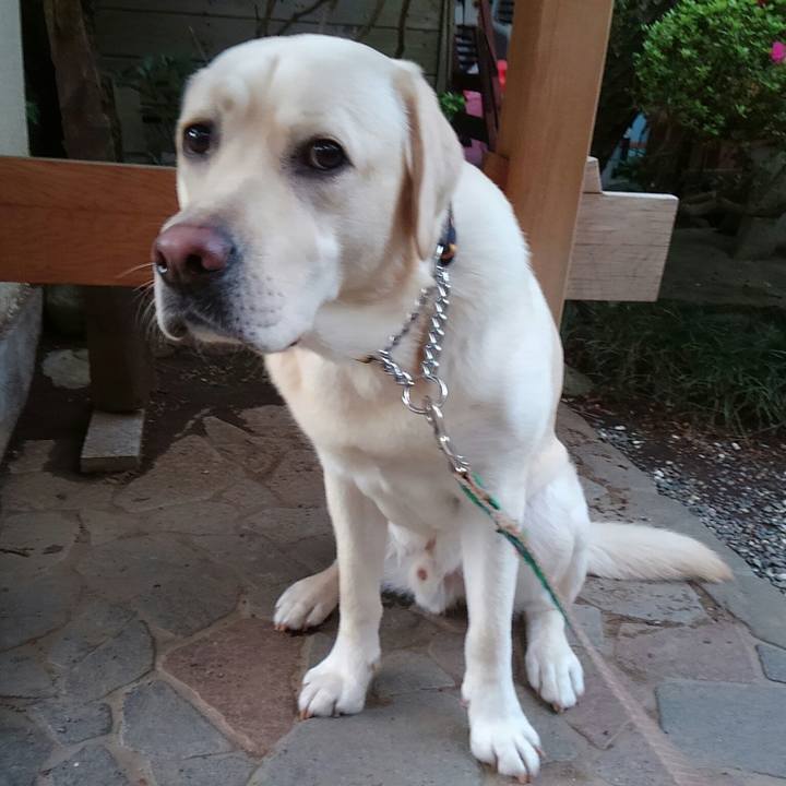 394c2daf 149b 4d86 8ab9 6e96c09fd91d