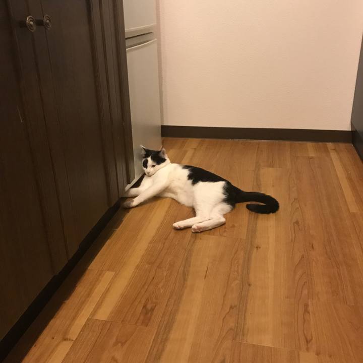 394c645a 72b9 42ce 9e6a 1b02502c0a23