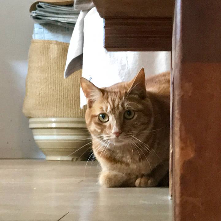 394c64d1 3a76 4503 b483 8f70786c0f56