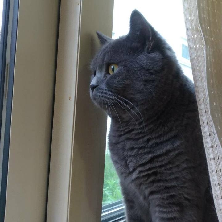 394d9413 5910 4e7a 9799 c862d728b70e