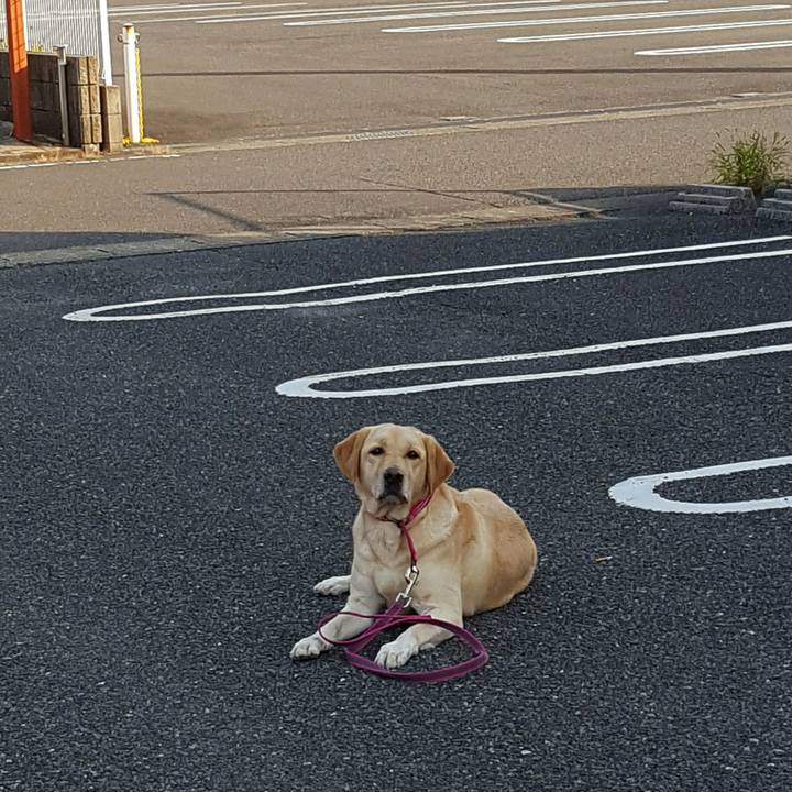 394deb25 3092 4b95 9994 b6ac3647947c