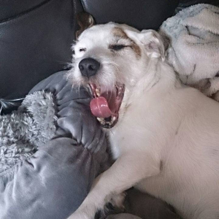 394df4af 6630 4b3d 9129 7c1678562b6b