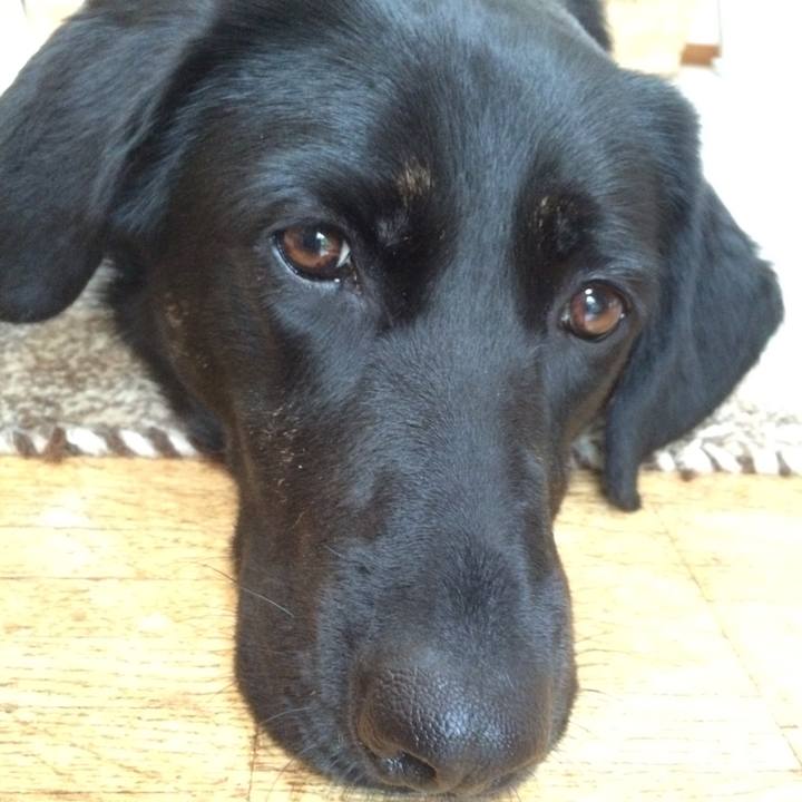 394ee3fb 5691 4910 a5fd ad822ccb291d