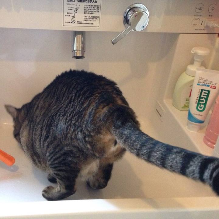 394eeca1 ac62 4d97 ba47 953fd30c2618