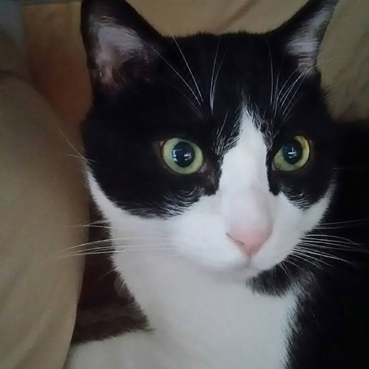 394f506a 8c32 4e56 a087 f62cfec4d5d8