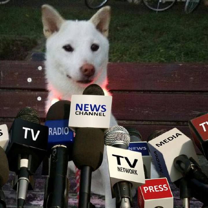 394f87c0 ac6f 4476 ac96 b690715fff13