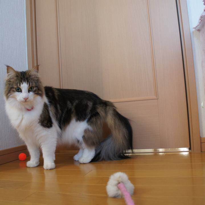 394fb17a 0505 4e8b bcfe 9c33f71a0c70