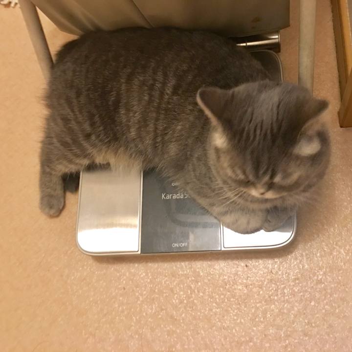 39507a70 70bc 49bf 96bd 6be51e95ed74