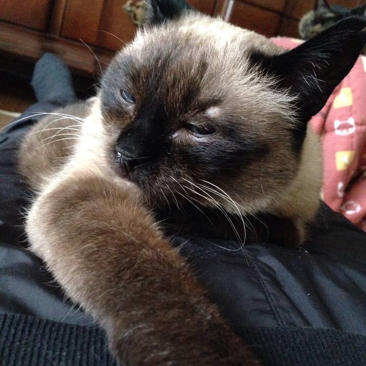 395129bf 9464 4c8d a50d 76d0865c8bf9