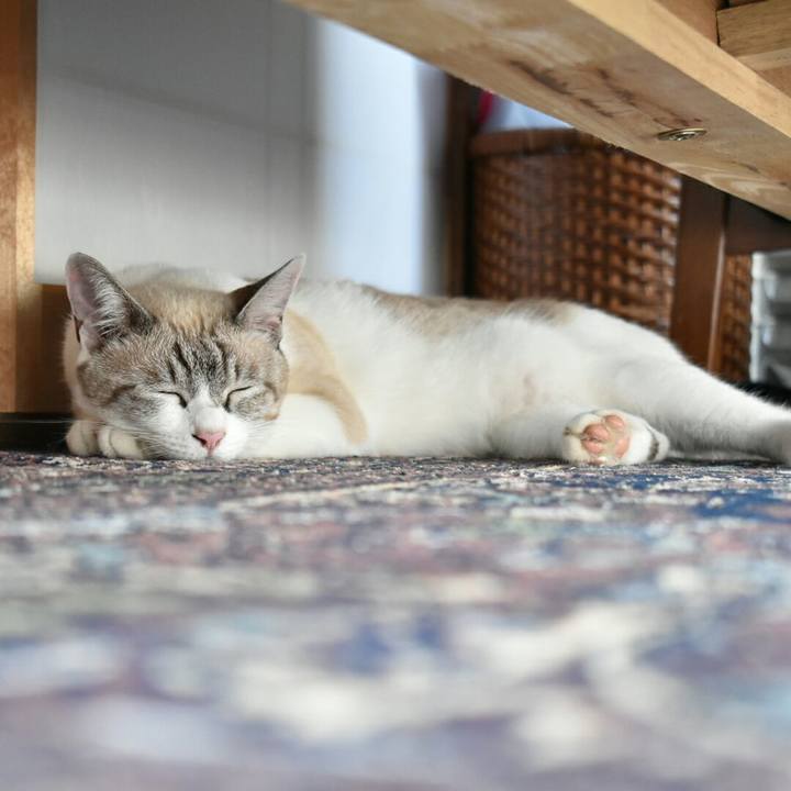 3951d98c cbe8 4e61 a19a 3062a2d7e17f