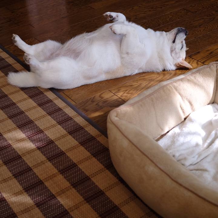 3951de51 3527 4def 875a 06688eb1629e