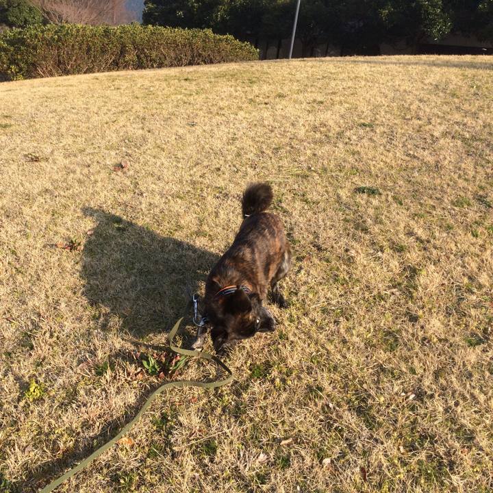 3952e575 ba42 448e 8de3 90365448f853