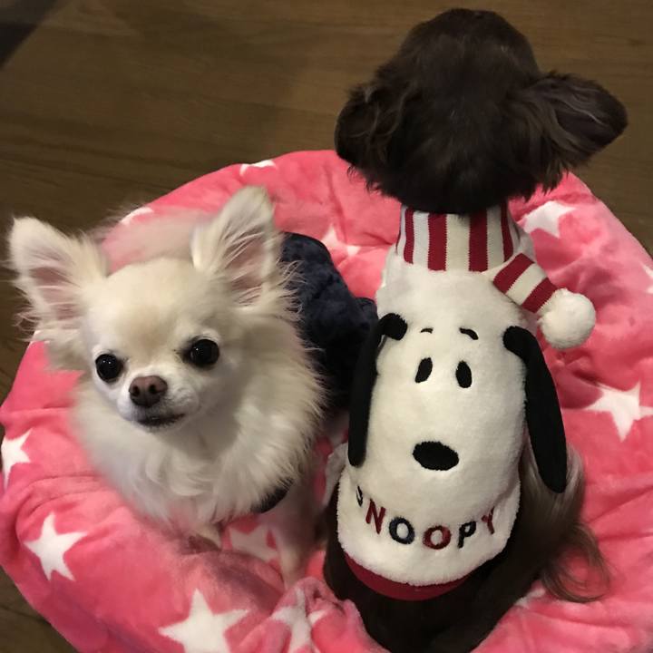 3952f476 53f6 4da9 9e9f 78f174f1ba54