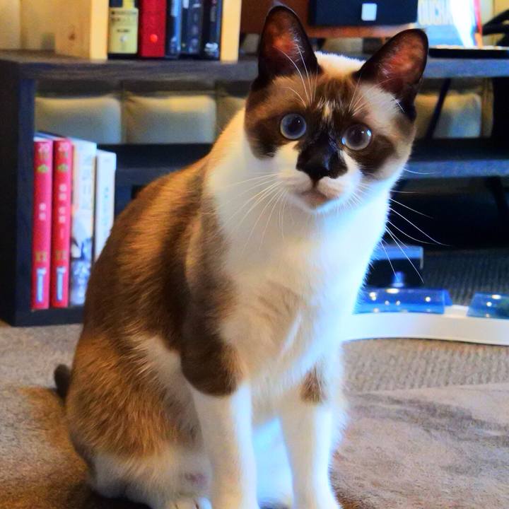 395308cf 6809 43fe 9c92 53c329268c8a