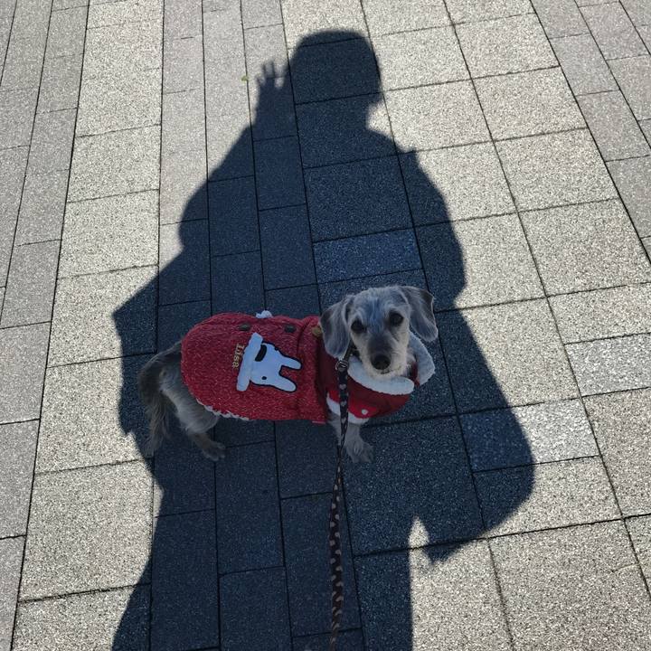 3953204b c7c9 4e08 8cd0 b773468474f6