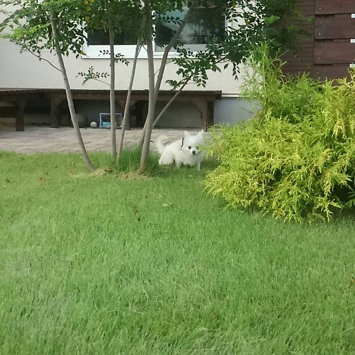 39543b38 3c1a 4627 9b11 3e874355fc47