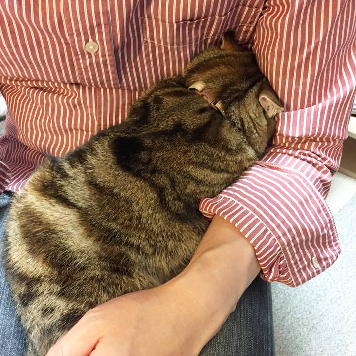 39545dc9 227d 4f42 ab43 8ea1ac64c668