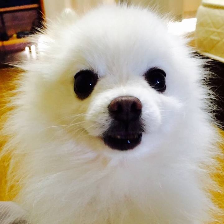 395659bd 80f5 4e40 82eb 07285a4fca94