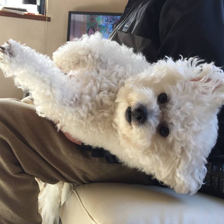 3956c5f7 3256 4e0f 94e8 223b27841db2