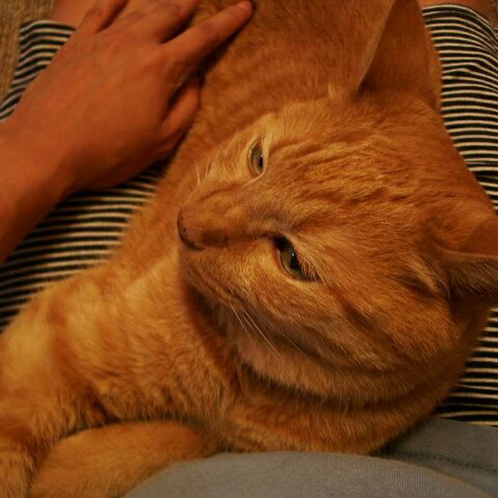 3956dc47 863e 4923 b923 34e5ce256eec