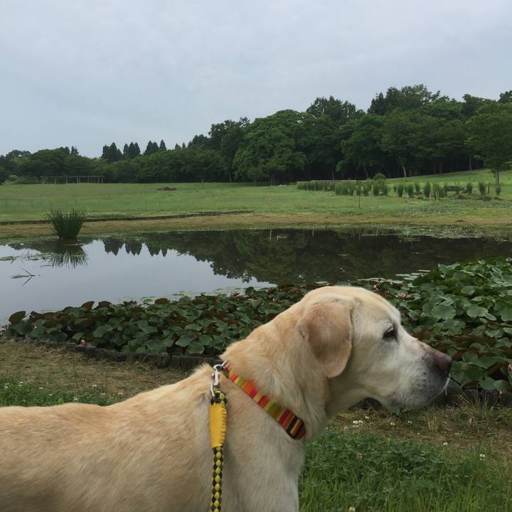 3958102d 214e 4b22 bce8 84f3e6418472