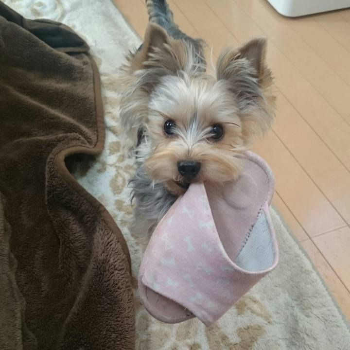 3958297f 49dd 41ed 9465 fb86f6ae4c62