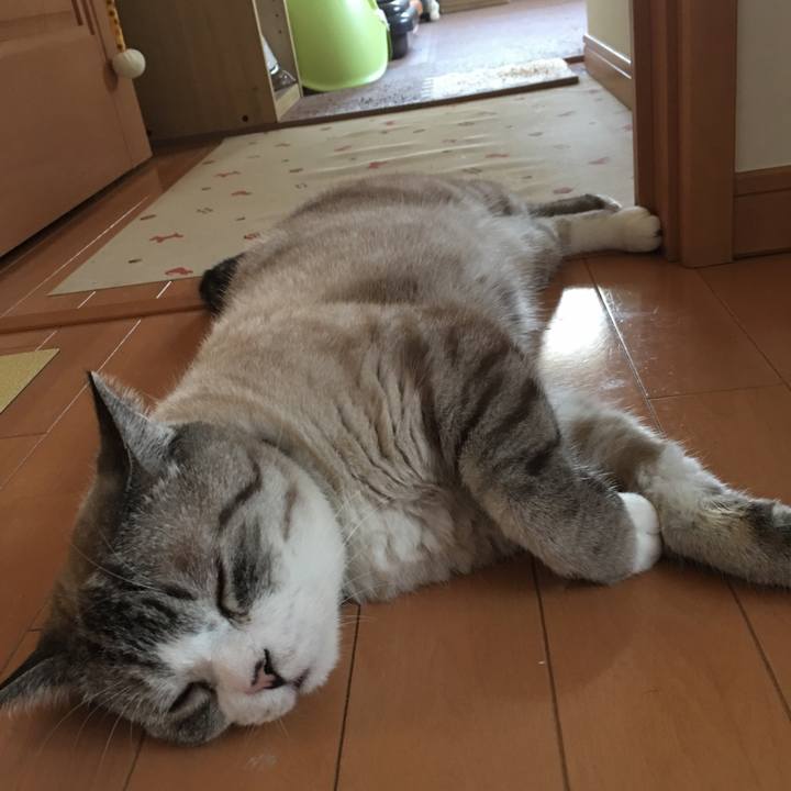 3958c15d e659 4789 9855 aeaf269a0f6d