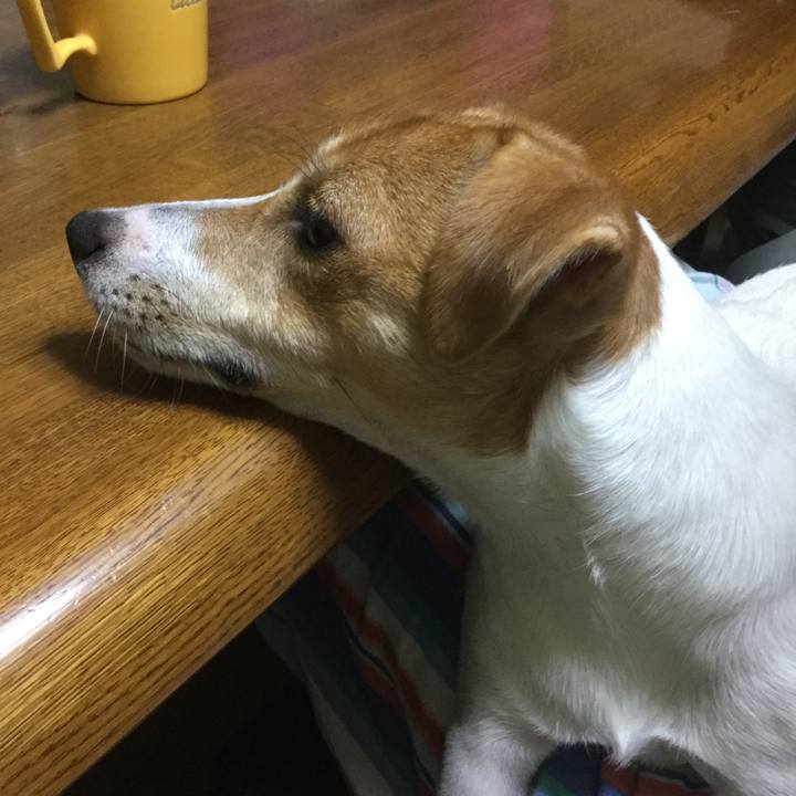 395989af cad3 4be5 9c07 2007cb305beb