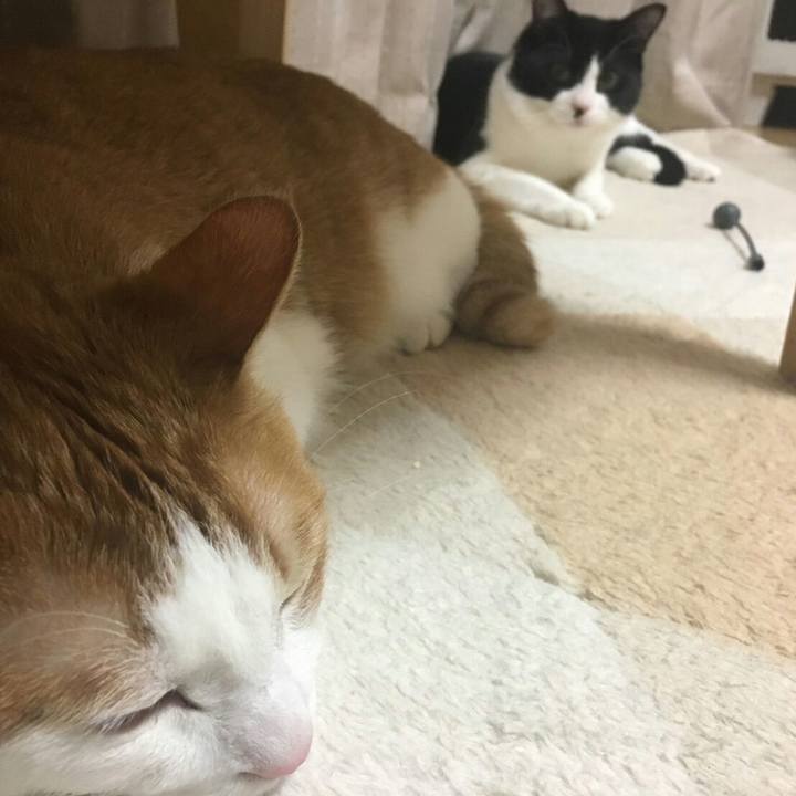 3959b288 19bc 48d0 b48b 6423f1fbbebc