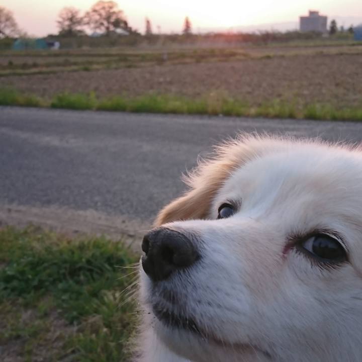 395adfae 0a7c 438b 8bb7 f1dc0a1cad52