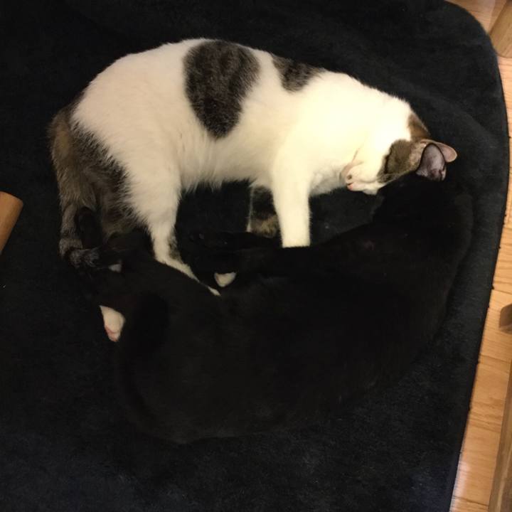 395b1f73 74bd 48af ade9 57a2fb282456