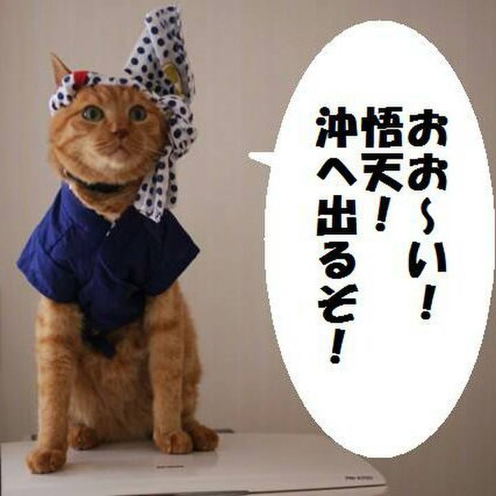 395b36fb 7889 43fe adcb ed60a1dea22e