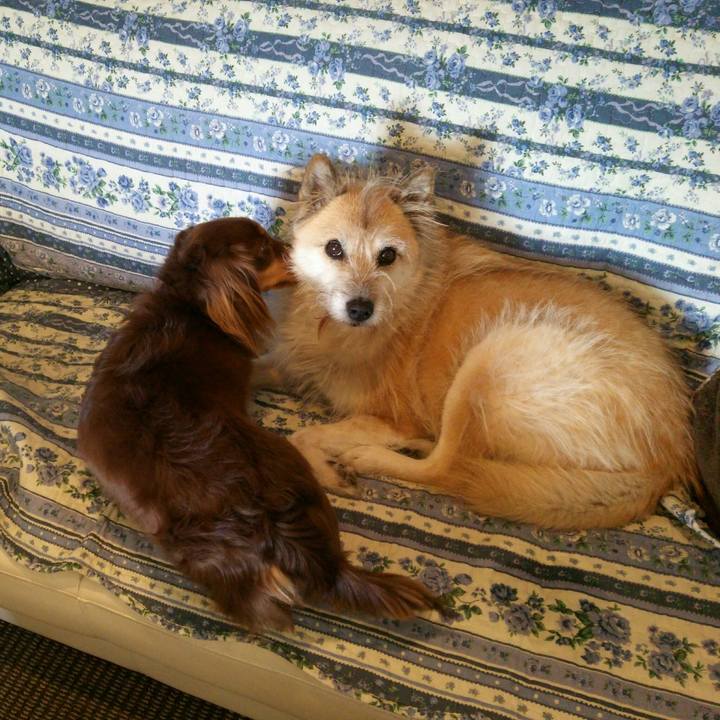 395c8e60 cfce 42f9 95b2 ba107b22acc7