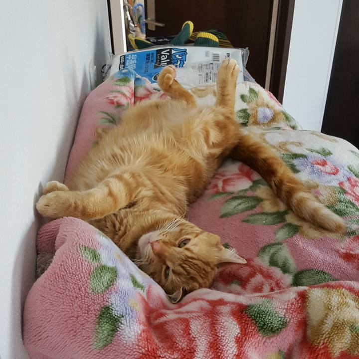 395d137b 3b0a 4123 b6cf f38f7b4522ef