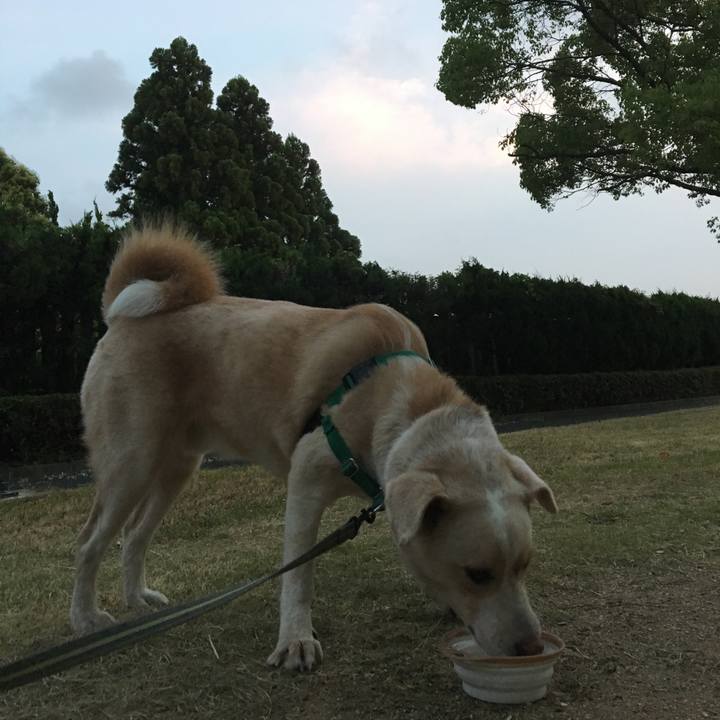 395d2114 0973 4d4c b66a a2e6360a2369