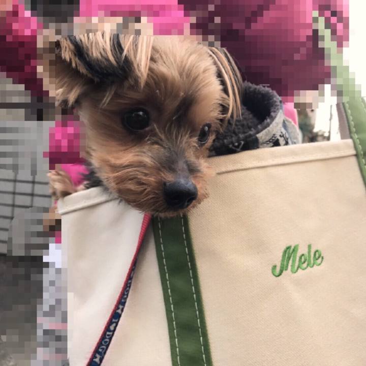 395da0e8 baa6 4a76 b60c d41db684984b