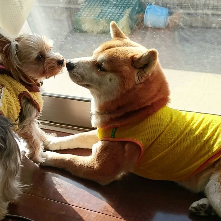 395db0df 912e 4959 bc38 1d1ad348d78a