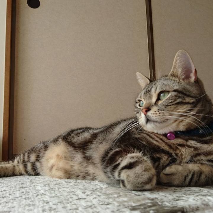 395e11d1 824c 4728 9958 aaf382cac593