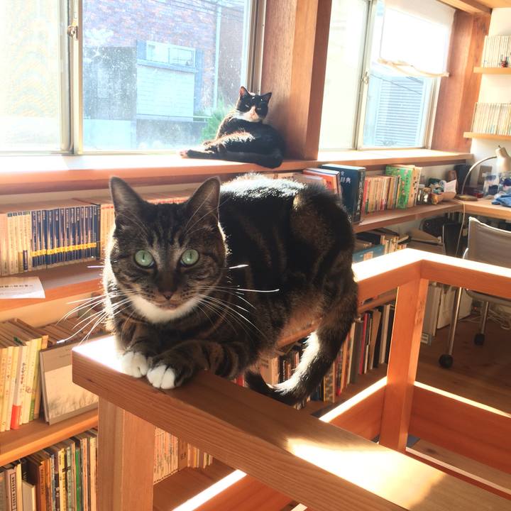 395e39b2 f217 40ab 88f9 98aeab1438c5