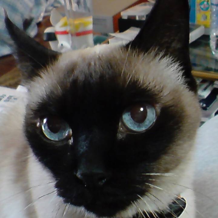 395e8773 68b9 415a bfd5 057cefc83bc1