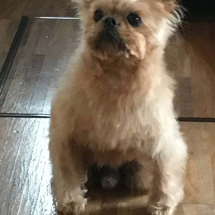 395eadc7 5d99 4dd1 a8f1 5c61d11a1c88